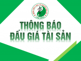 THÔNG BÁO VIỆC ĐẤU GIÁ ĐỐI VỚI DANH MỤC TÀI...